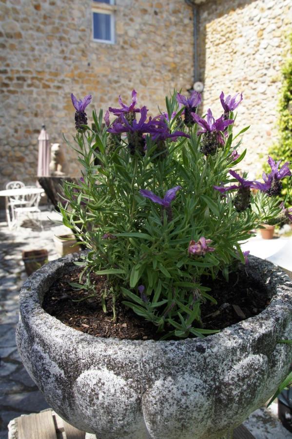 Maison Du Manoir Vallon-Pont-dʼArc Kültér fotó
